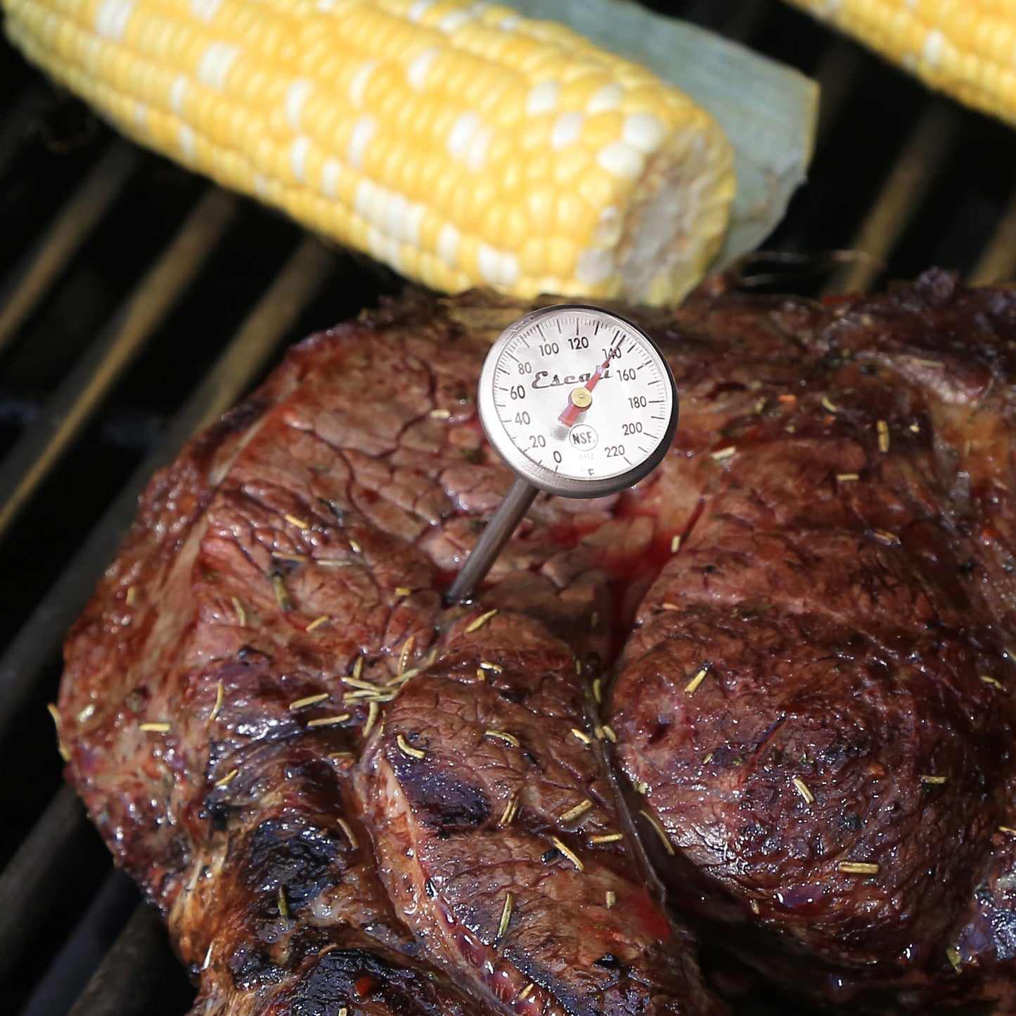 Instant Read Dial Thermometer (Fahrenheit)