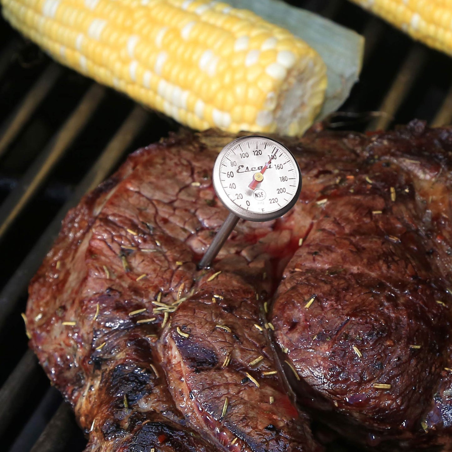 Instant Read Dial Thermometer (Fahrenheit)