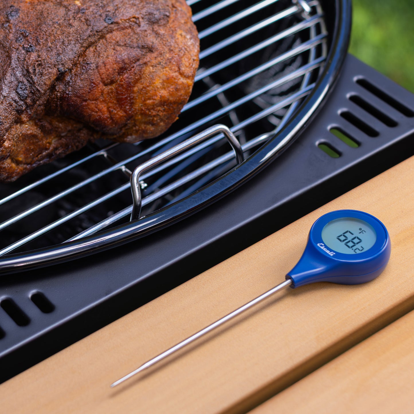 Easy Read Waterproof Digital Thermometer