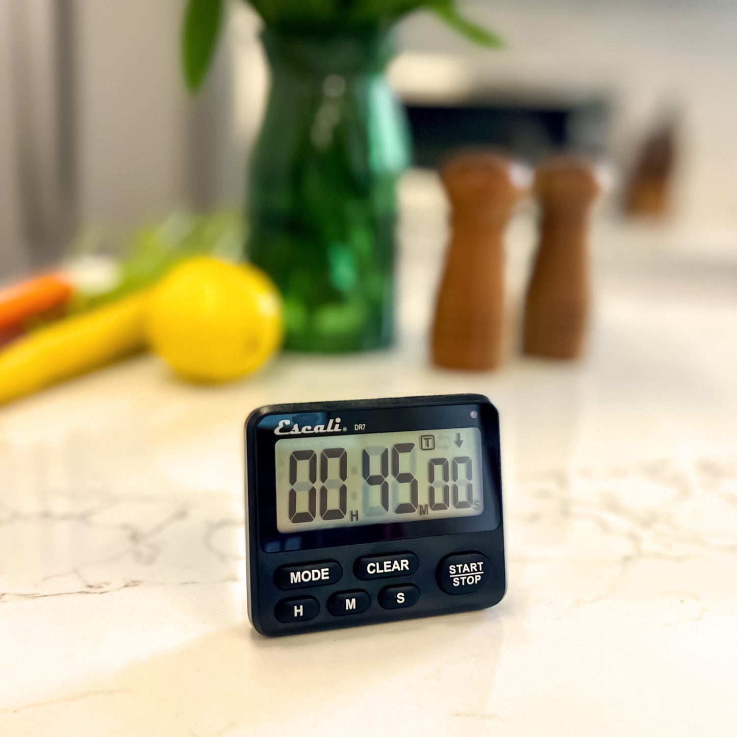 Extra Loud Digital Timer