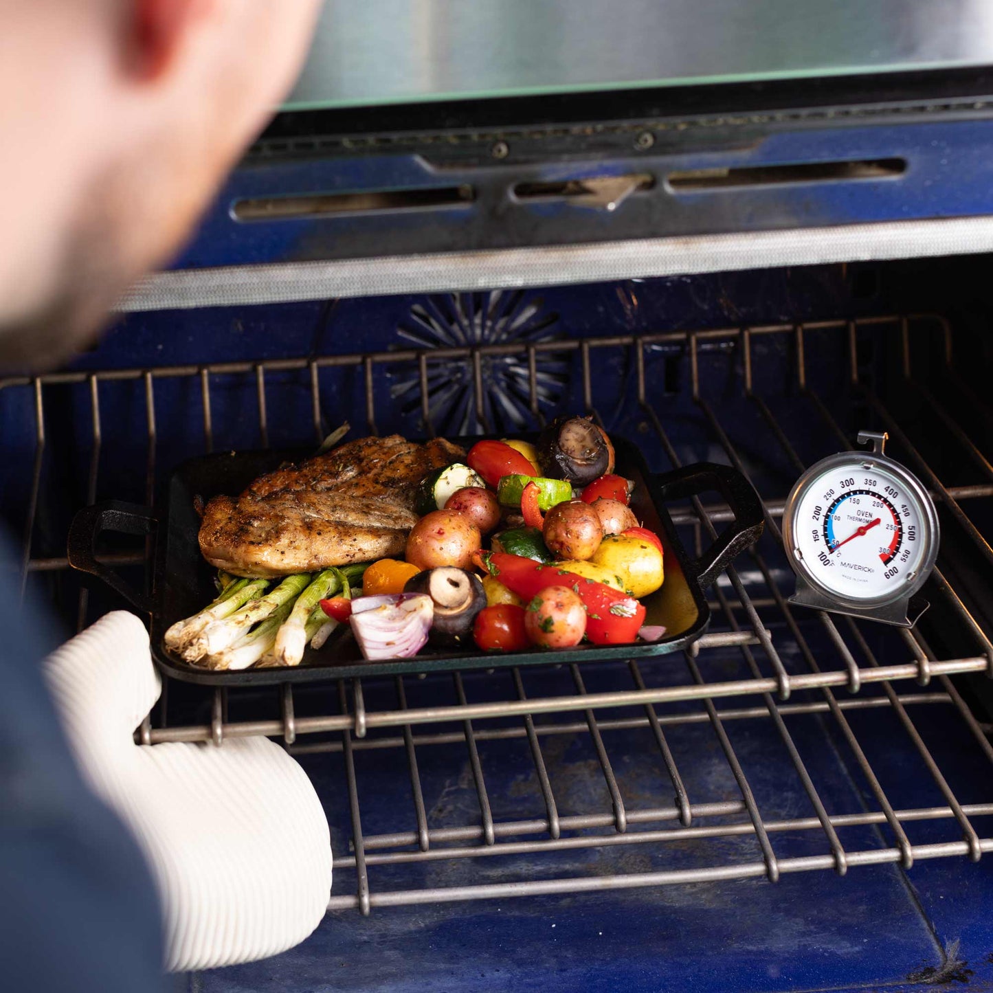 Large Dial Oven Thermometer