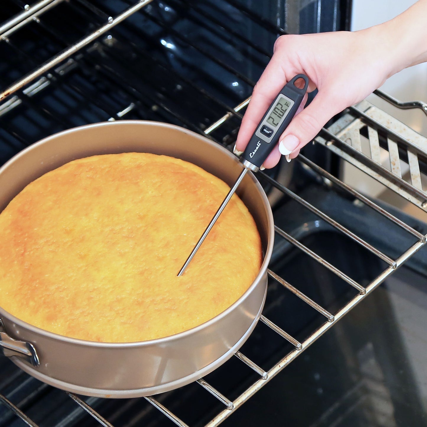 Gourmet Digital Thermometer