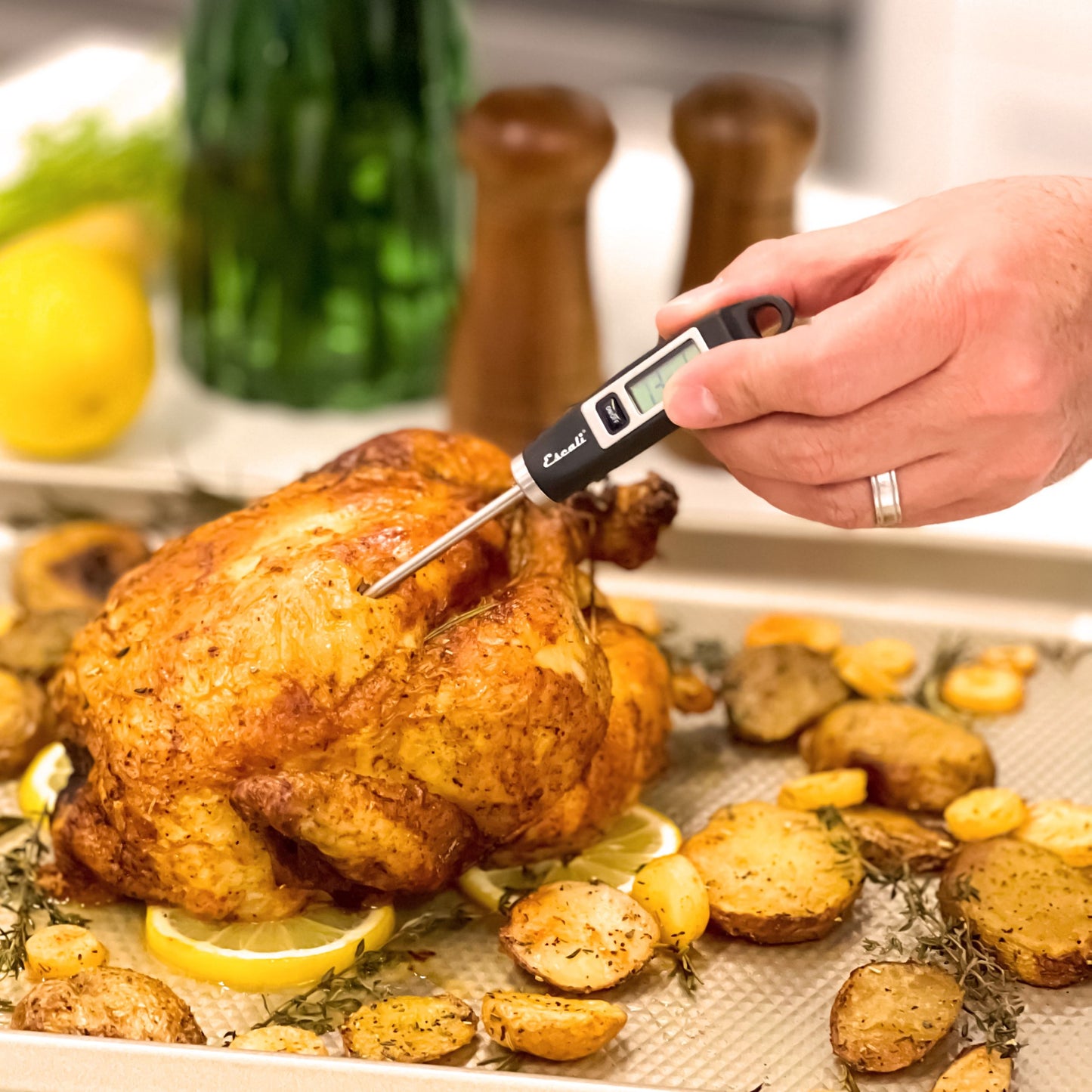 Gourmet Digital Thermometer