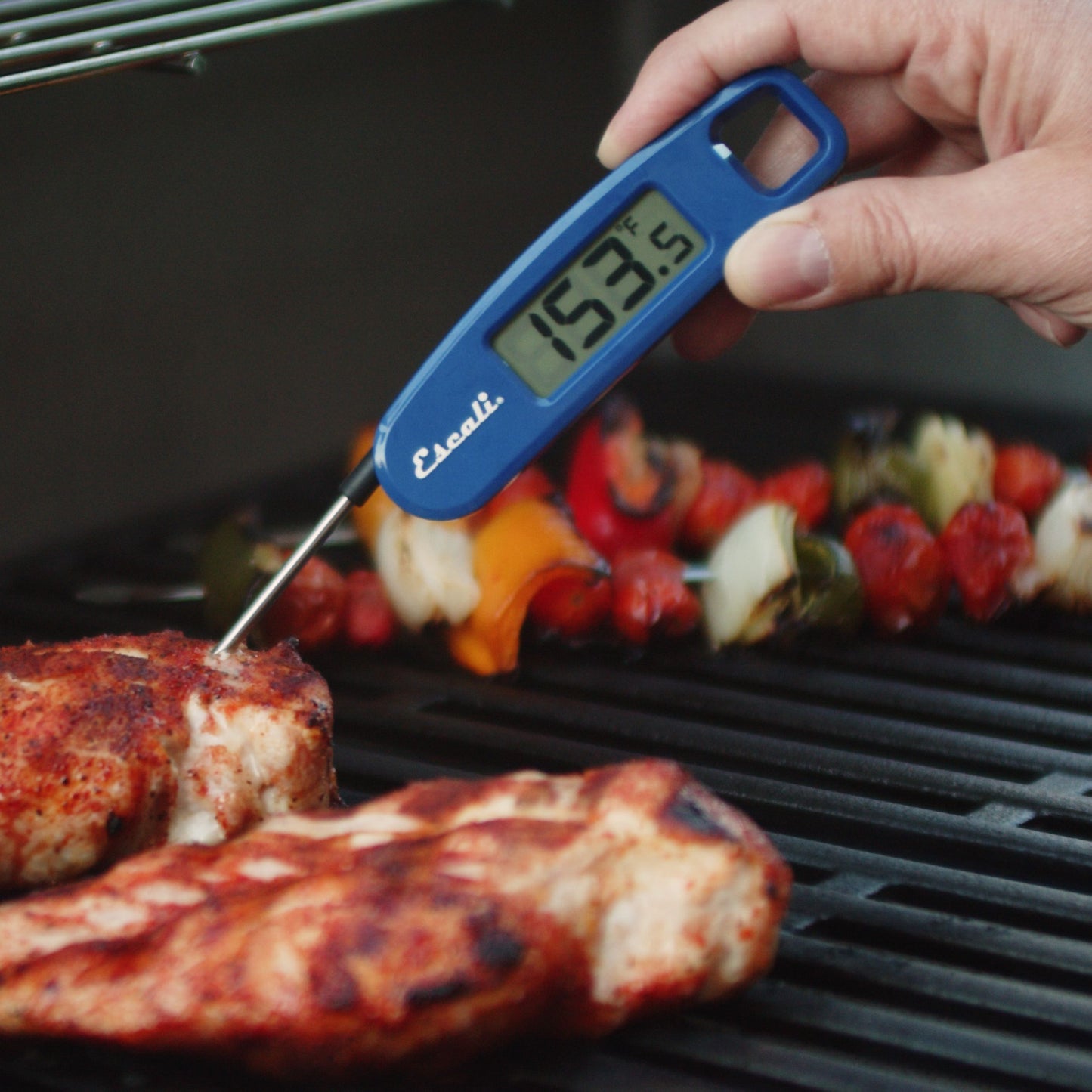 Compact Folding Digital Thermometer