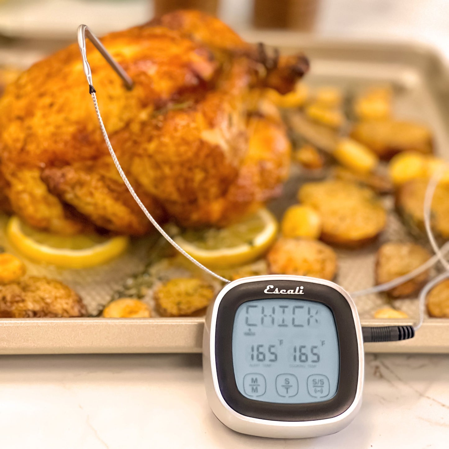 Touch Screen Thermometer & Timer