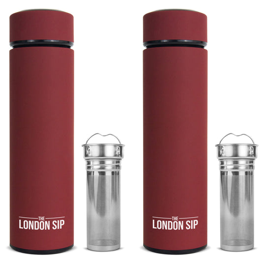 Tea Infuser Bottle 2-Pack, 16 Ounce