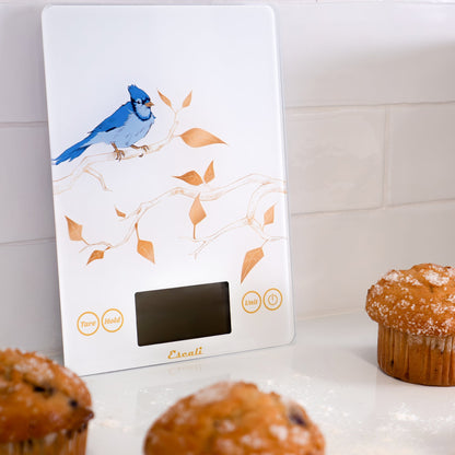 Arti Blue Jay Kitchen Scale