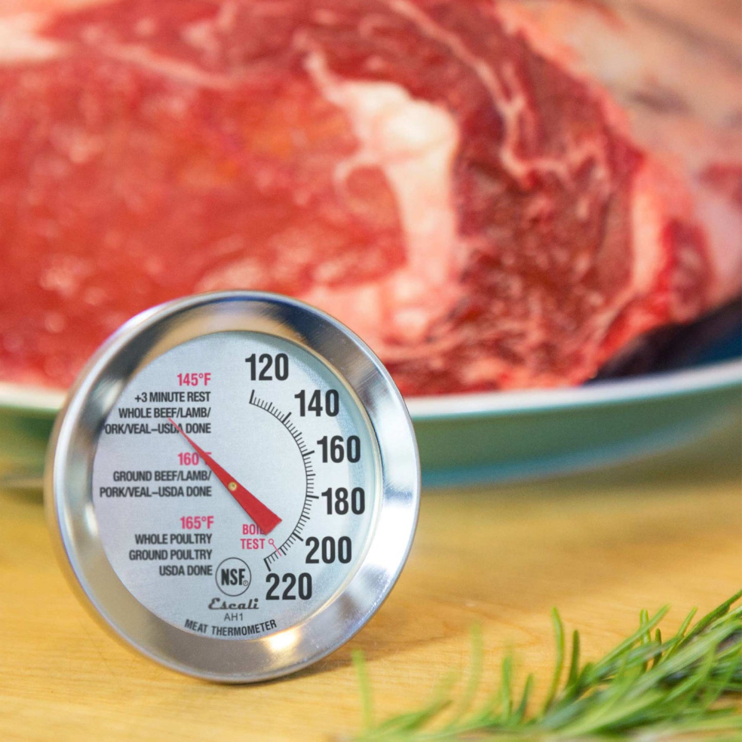 Oven Safe Meat Thermometer