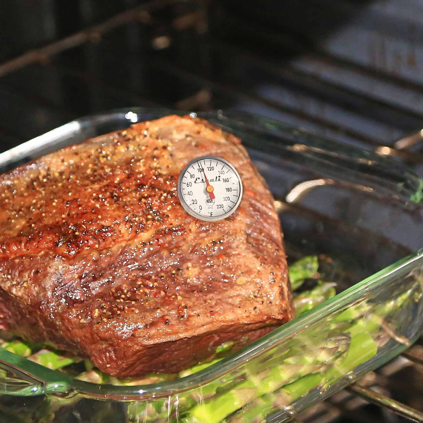 Instant Read Dial Thermometer (Fahrenheit)
