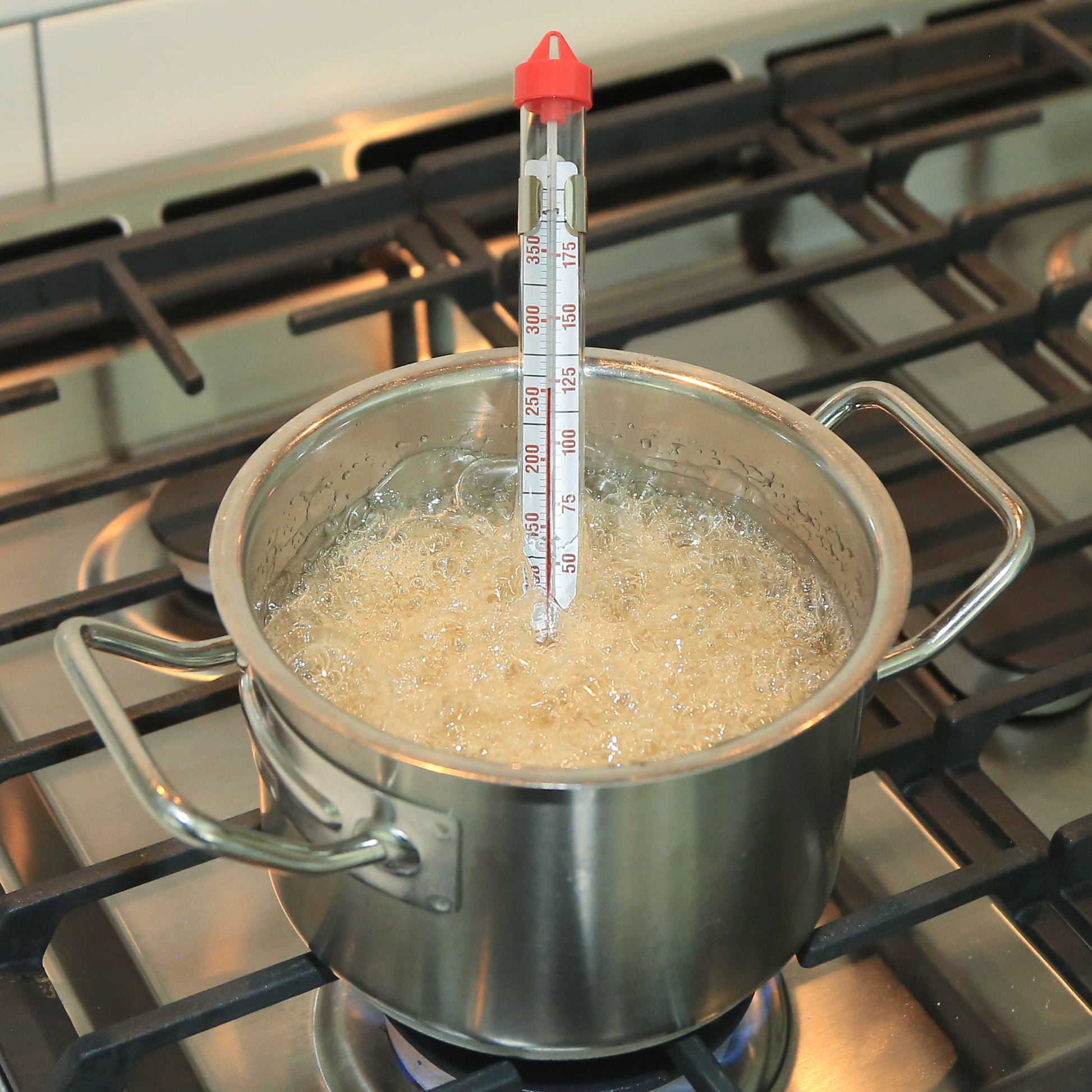 Deep Fry / Candy Paddle Thermometer – KitchenSupply