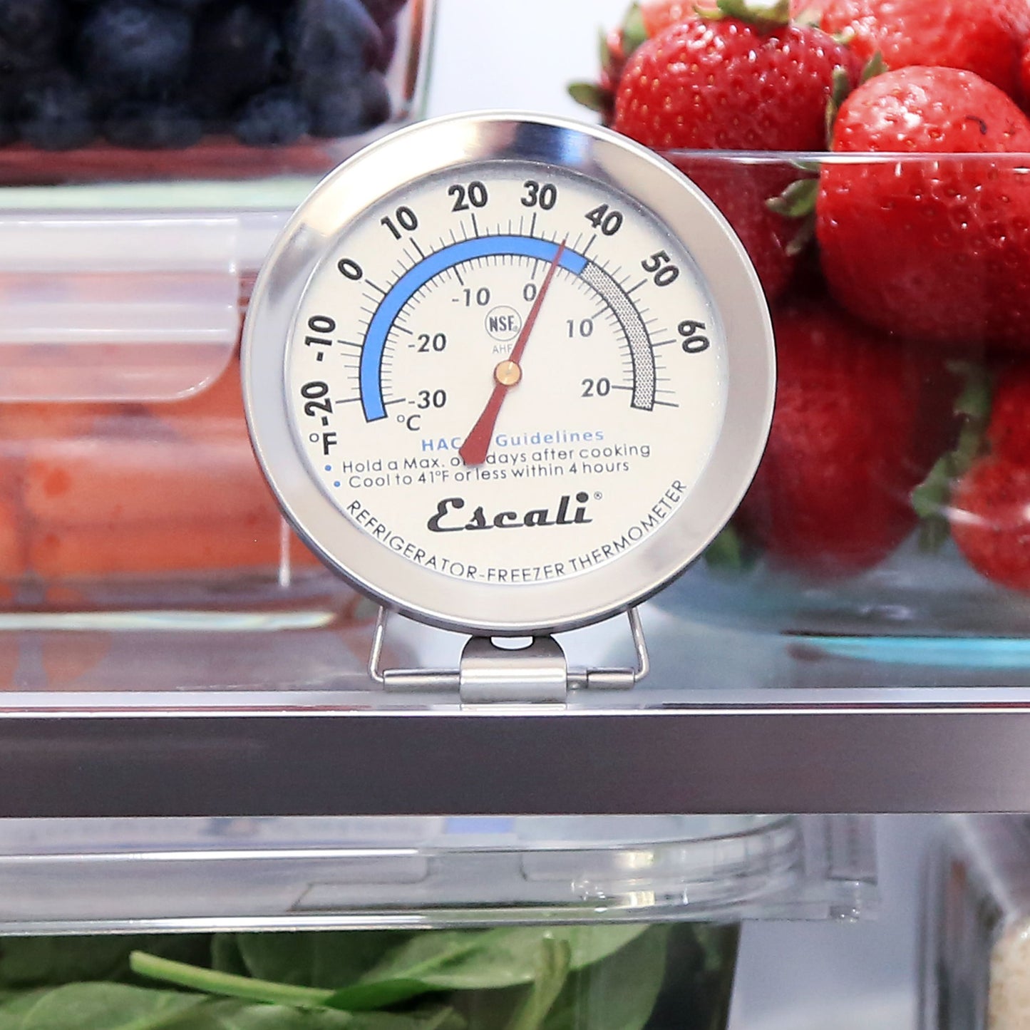 Dial Refrigerator / Freezer Thermometer