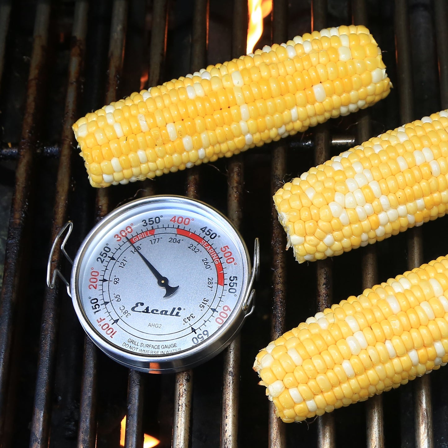 Extra Large Grill Surface Thermometer