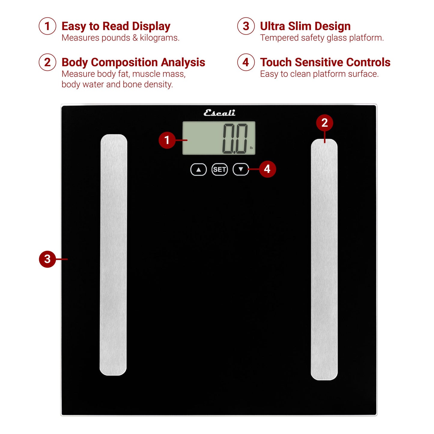 Complete Health Body Composition Scale – KitchenSupply