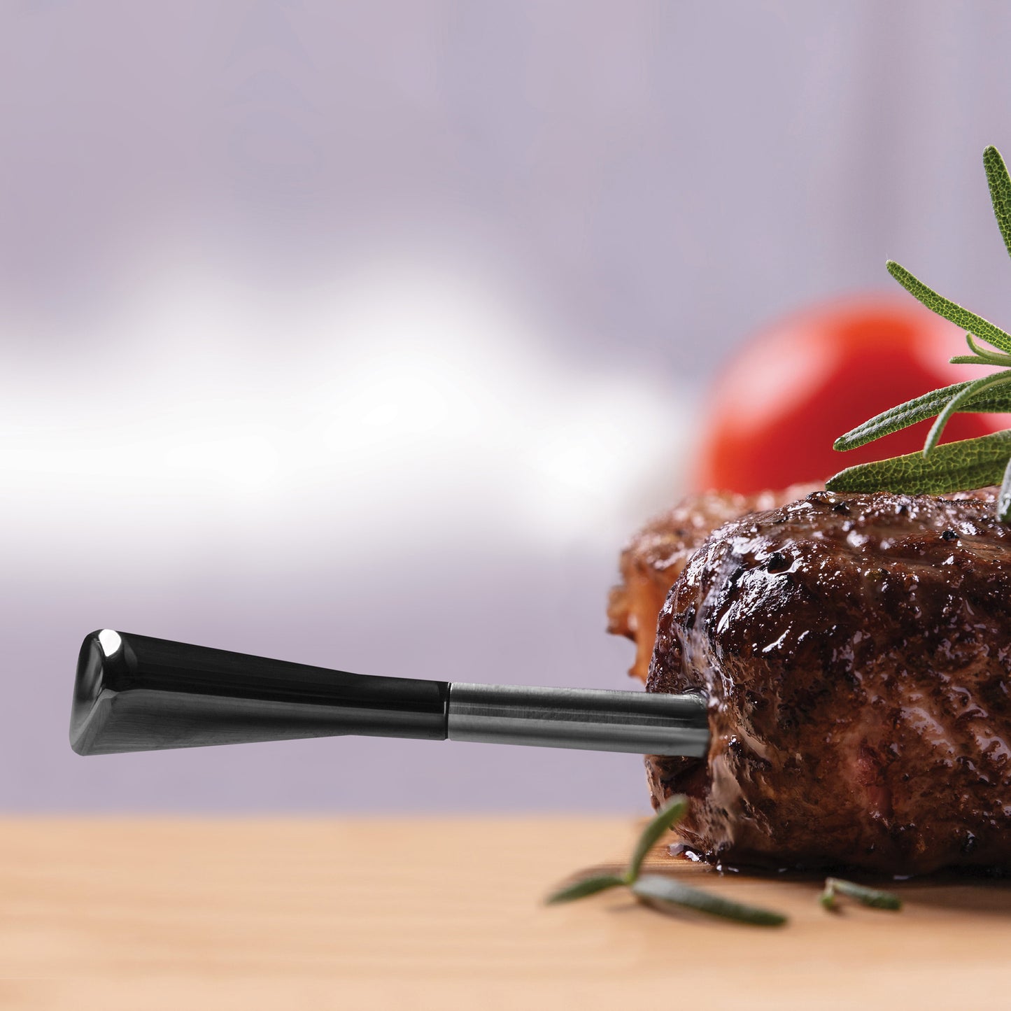 STAKE™ Extended Range Wireless Bluetooth Thermometer