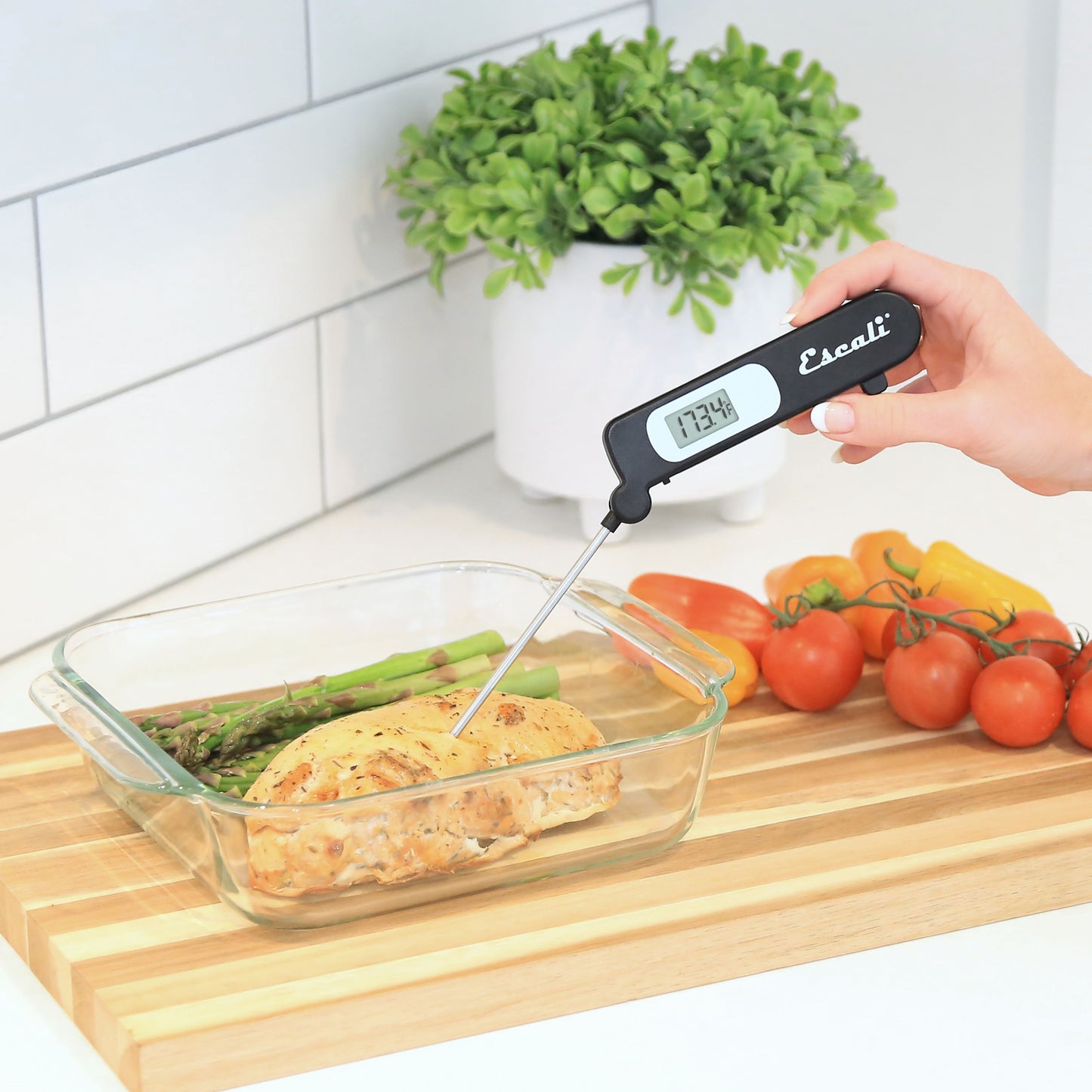 Folding Digital Thermometer