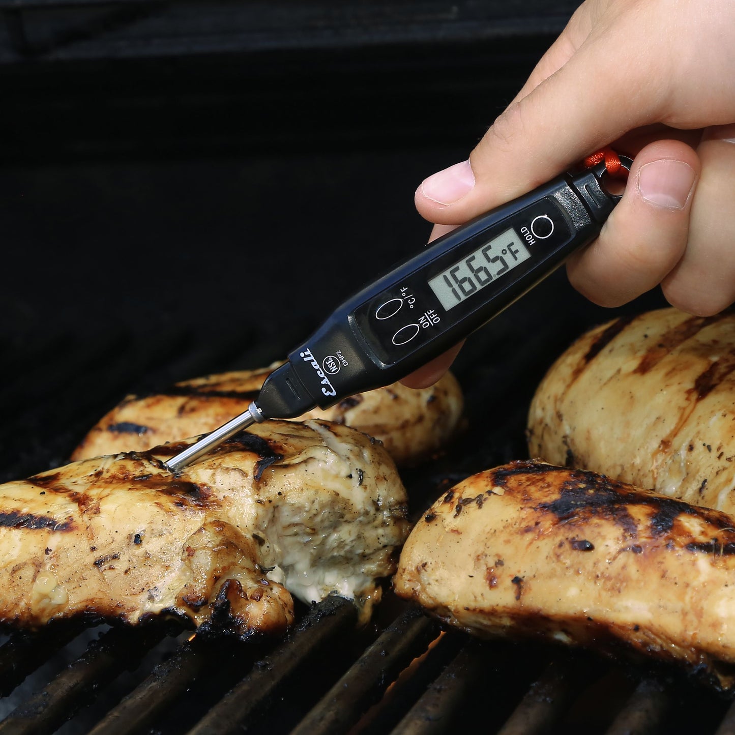 Digital Pen Thermometer