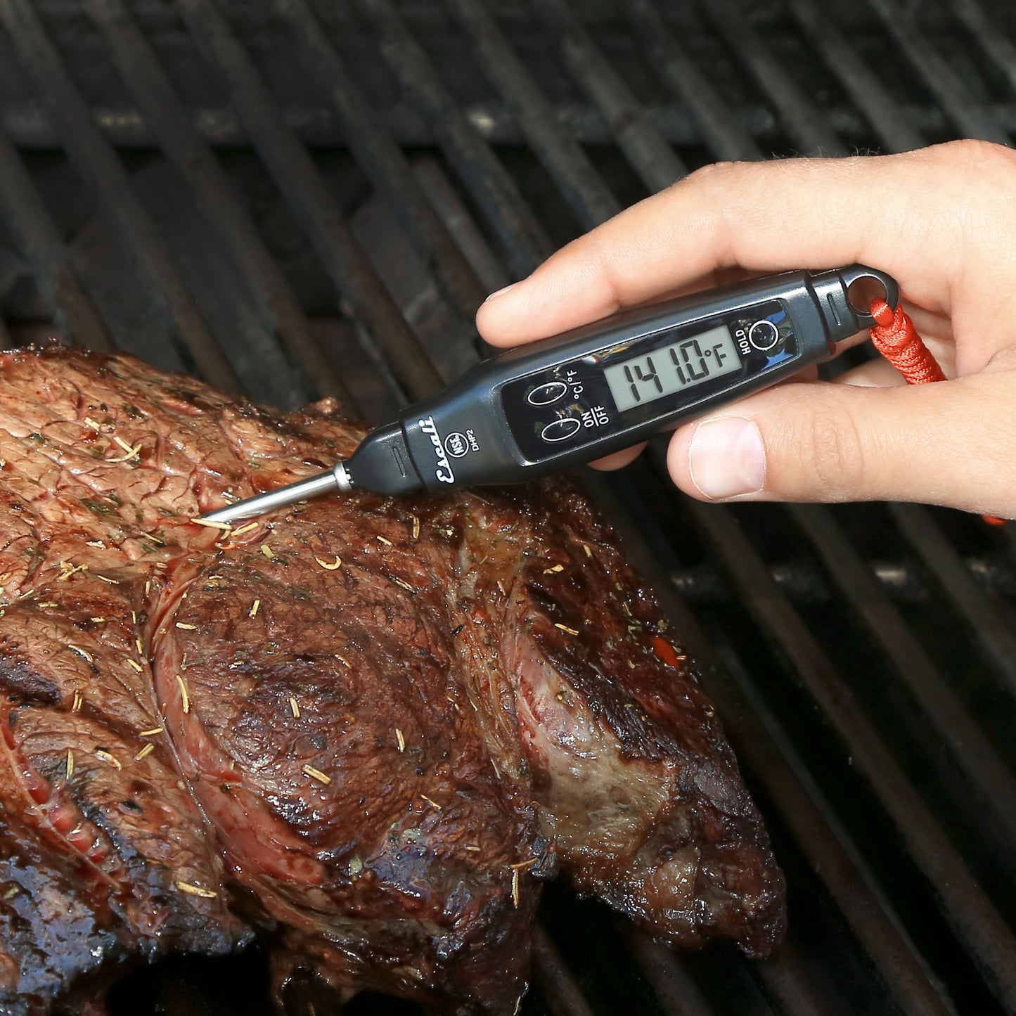 Digital Pen Thermometer