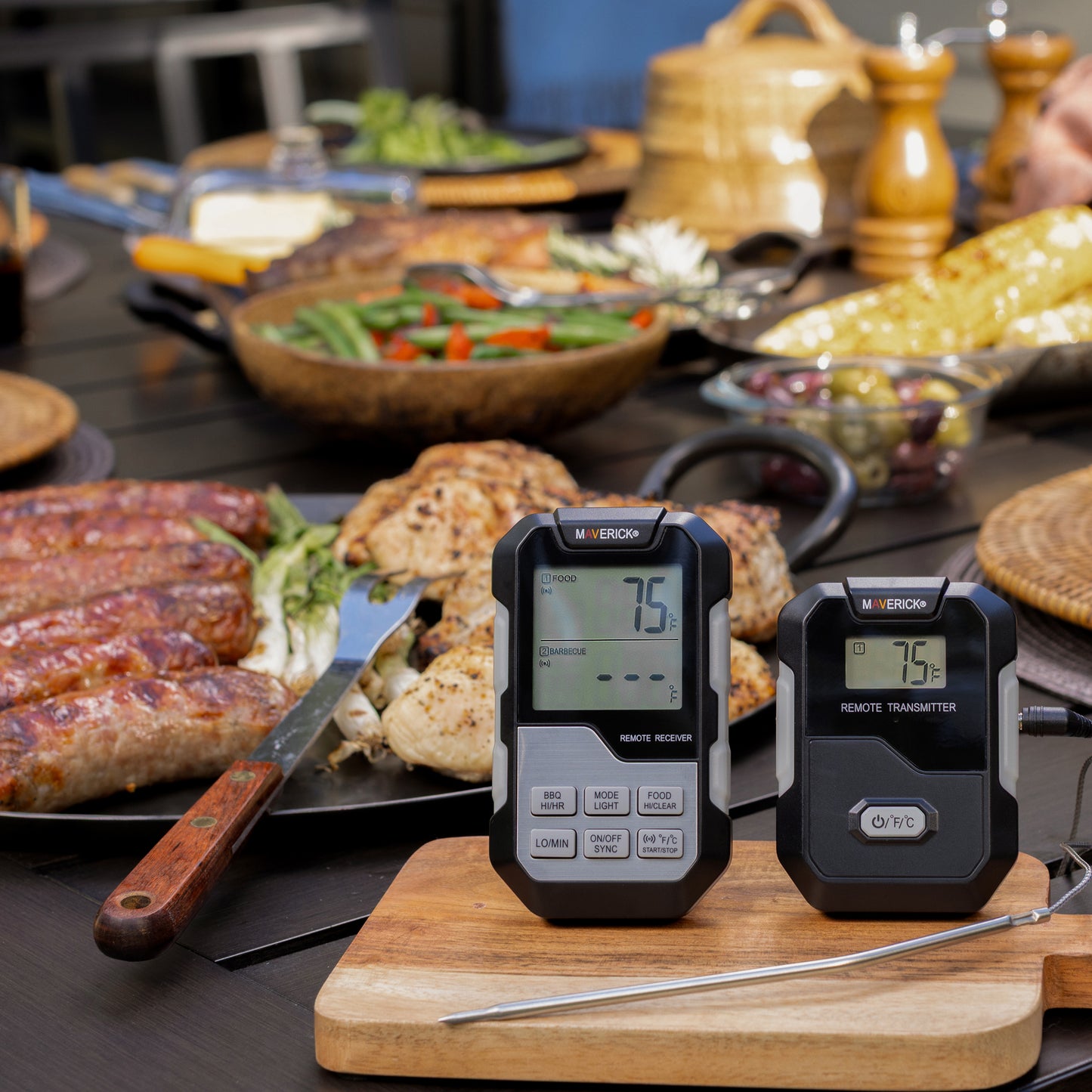 Long Range Wireless Remote Cooking Thermometer, Dual Probe