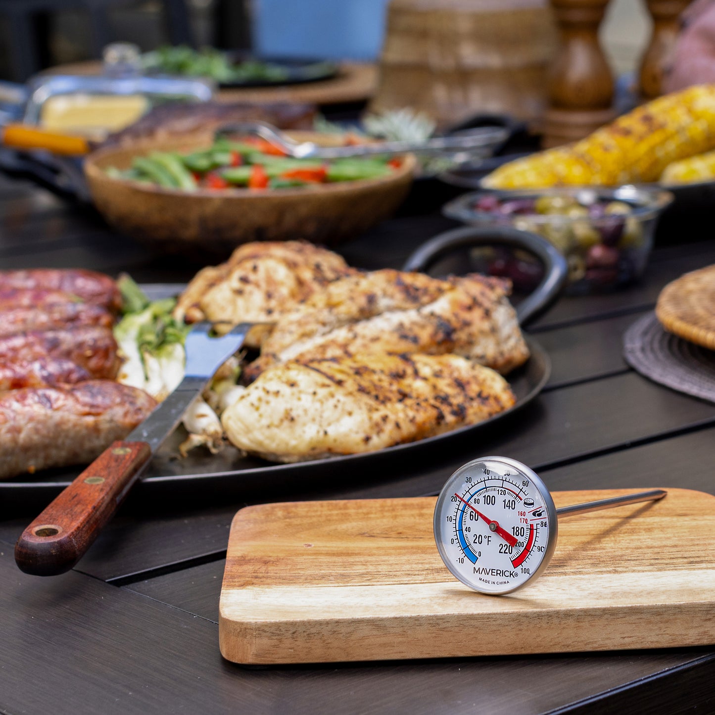 Large Dial Instant Read Thermometer