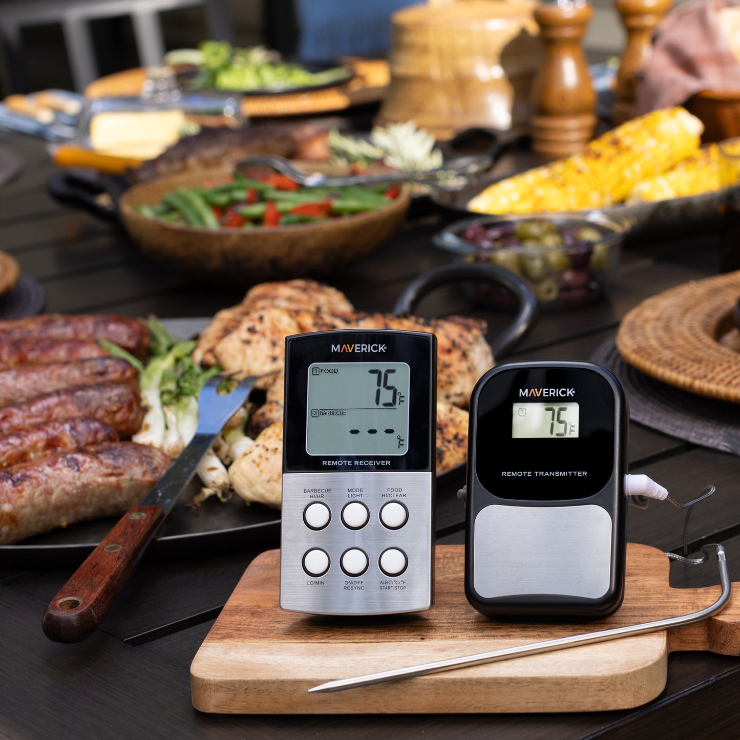 Long Range Wireless Remote Barbeque Thermometer, Dual Probe