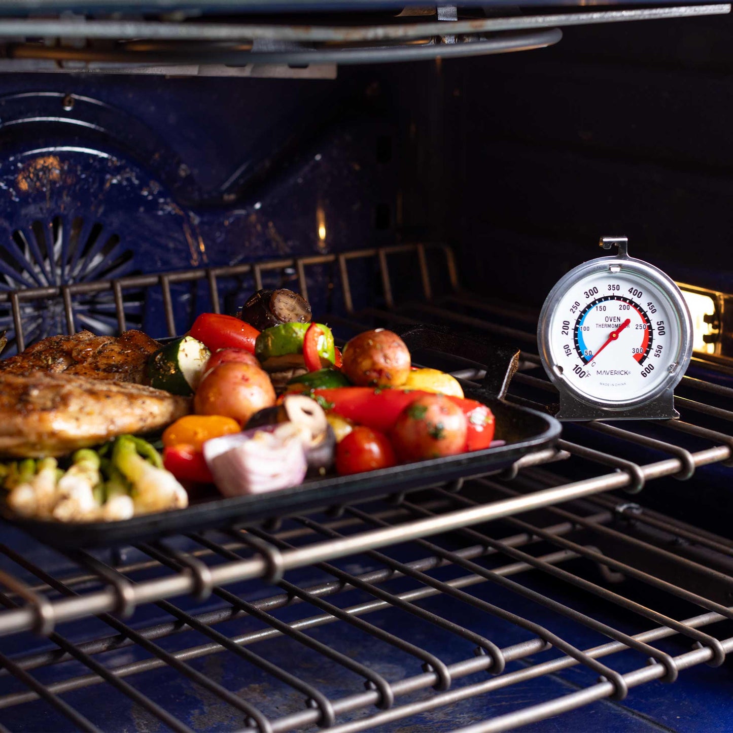 Large Dial Oven Thermometer
