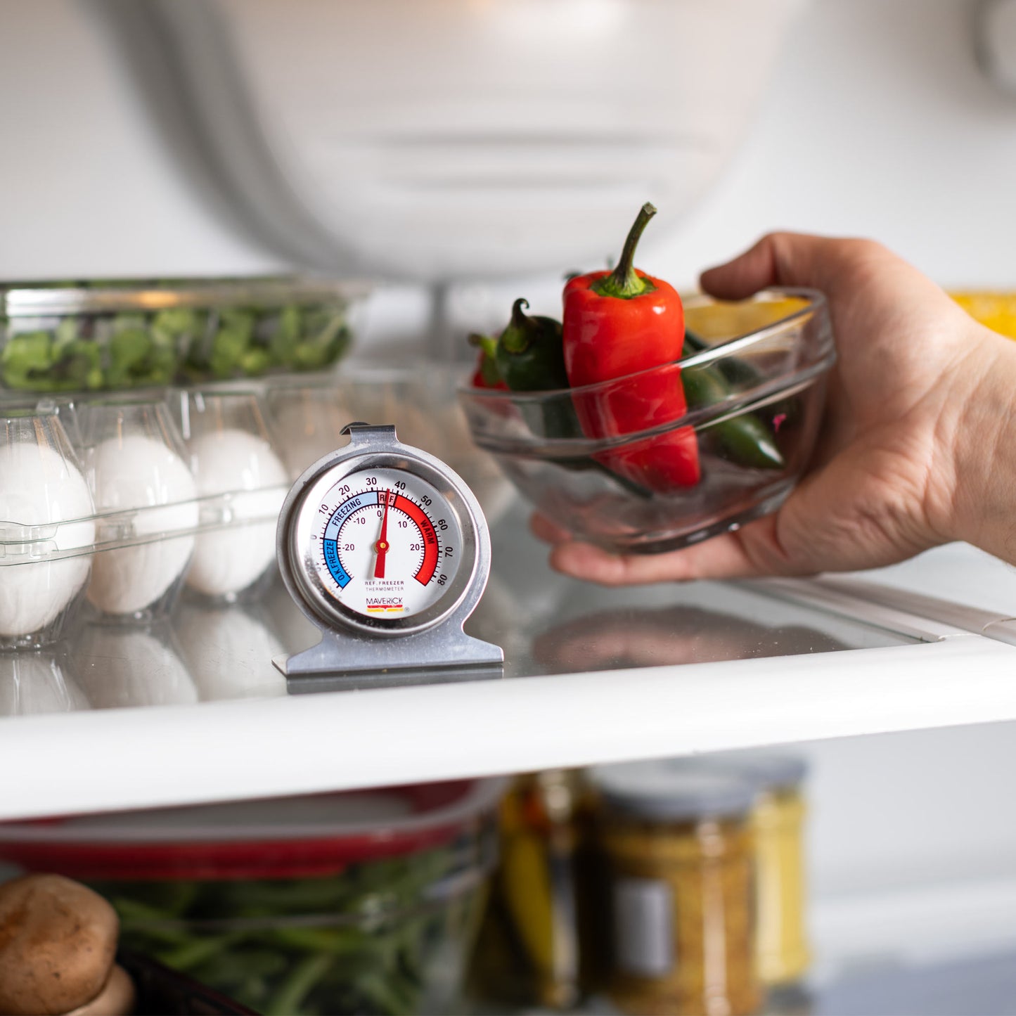 Refrigerator/Freezer Thermometer