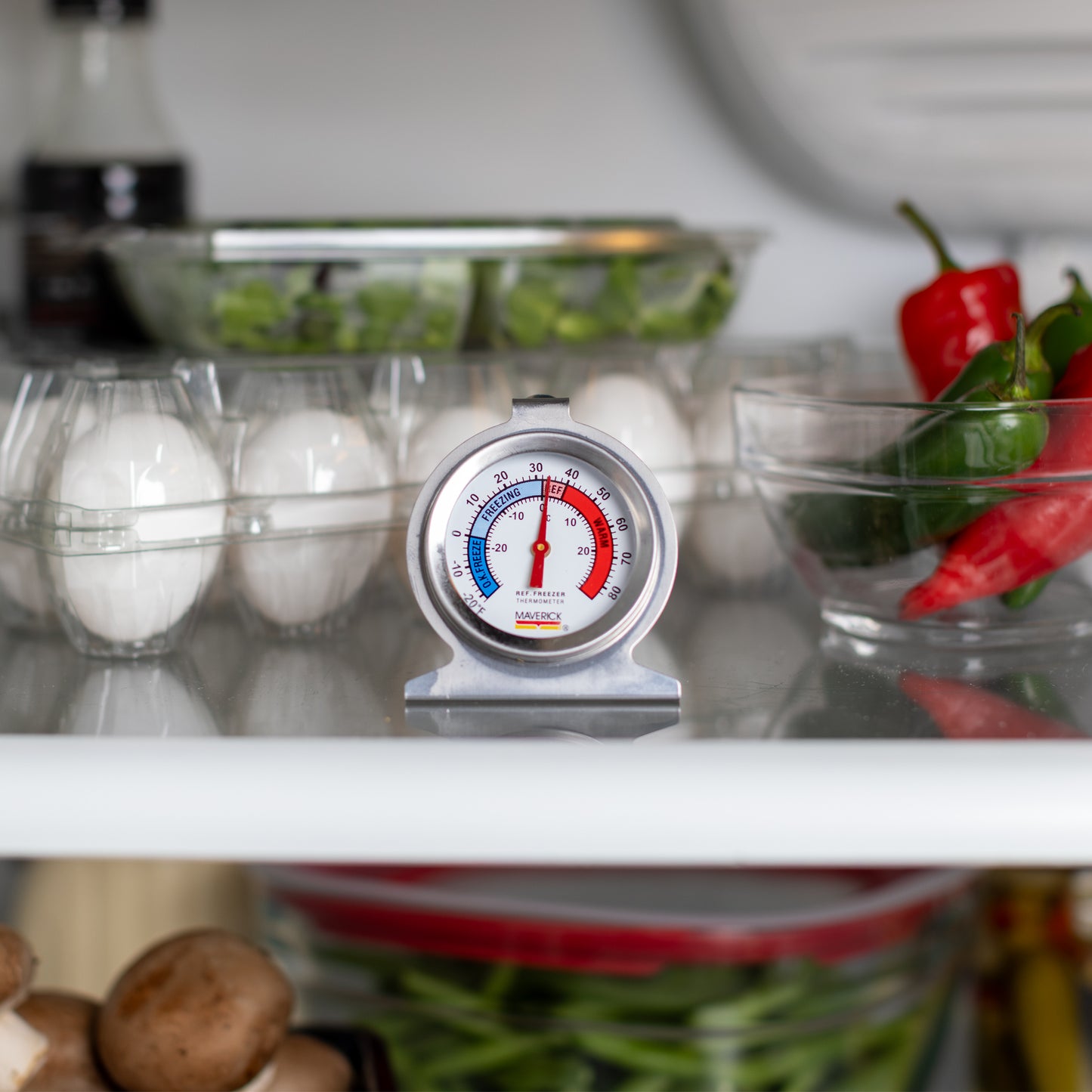 Refrigerator/Freezer Thermometer