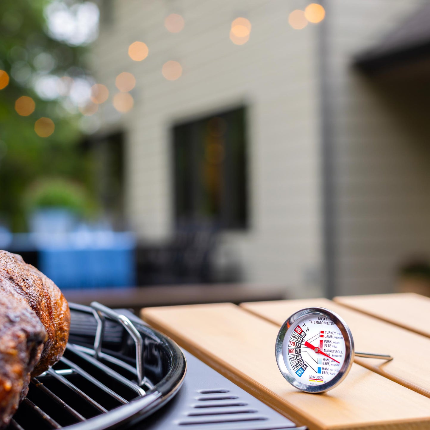 Gourmet Roasting Thermometer
