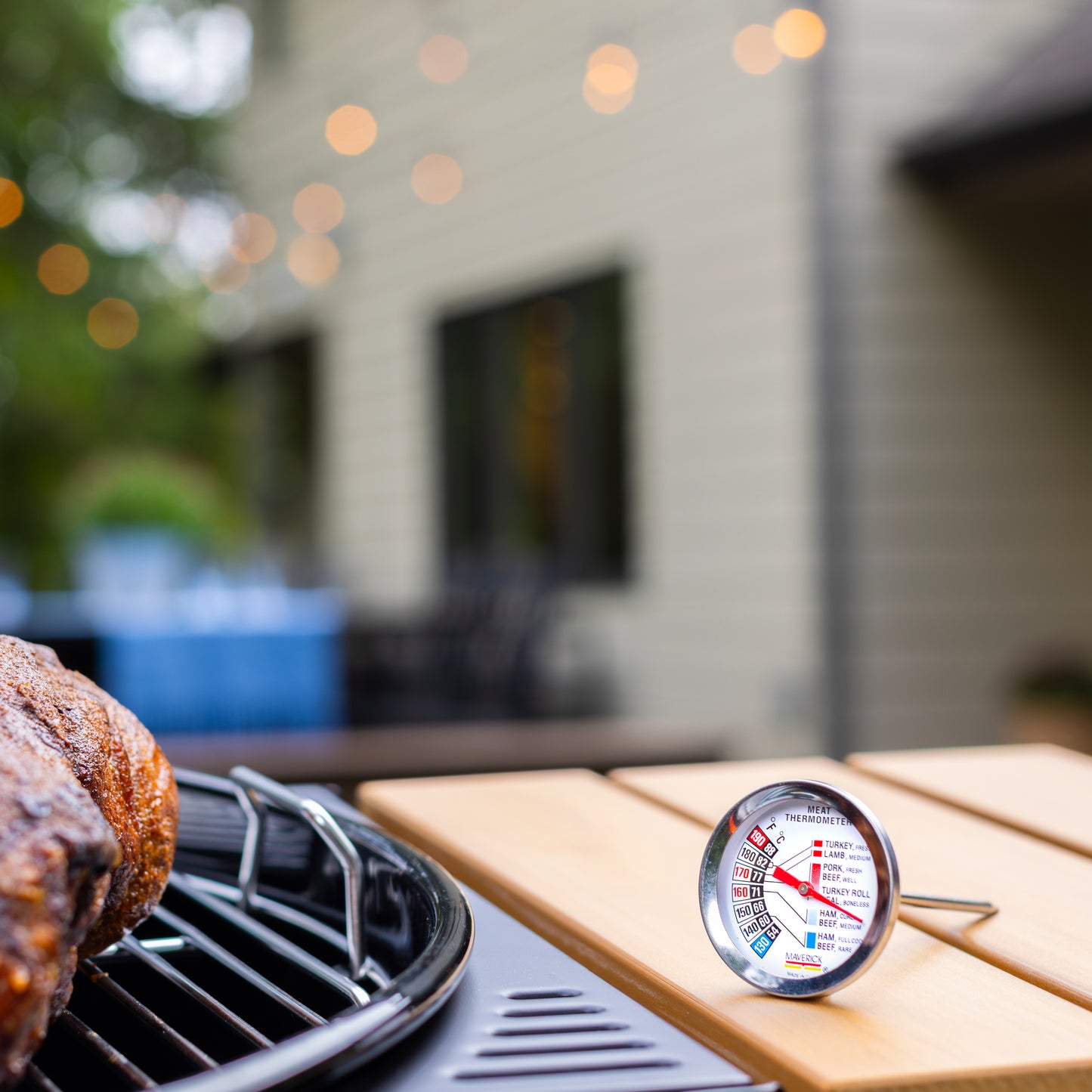 Gourmet Roasting Thermometer
