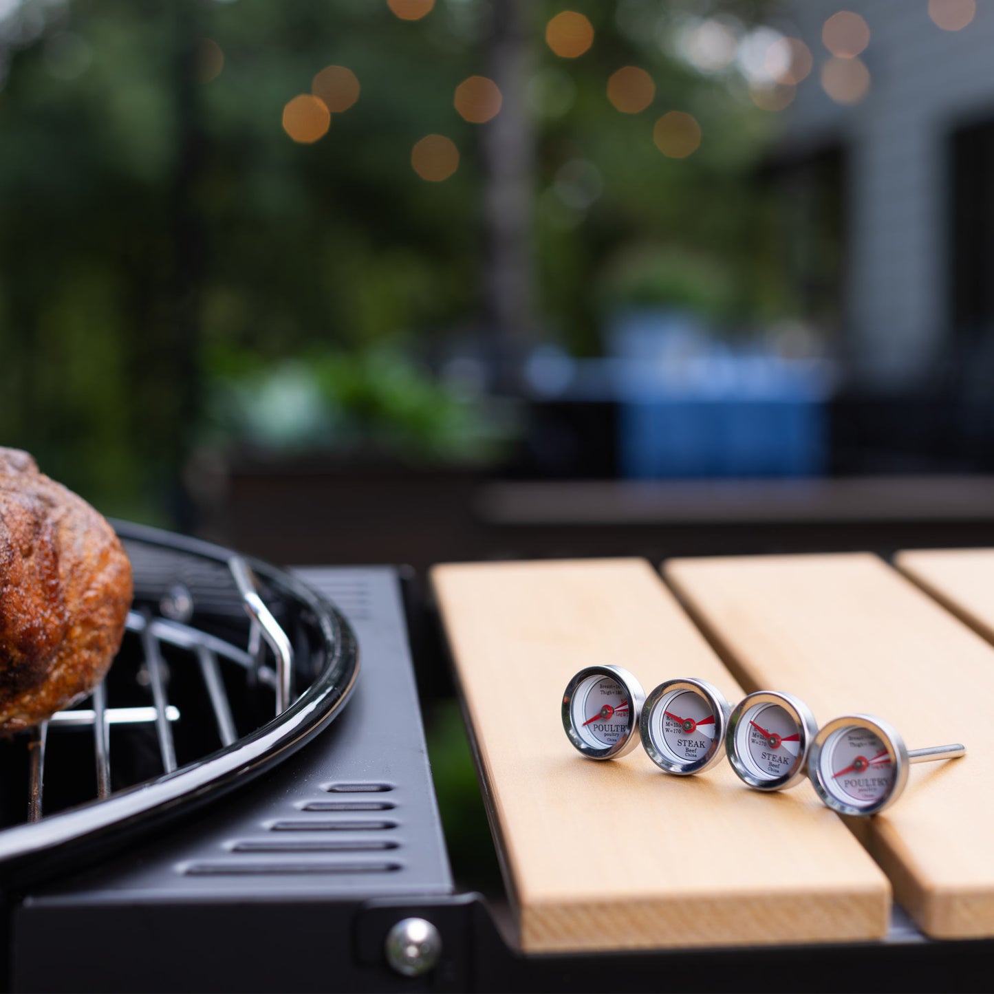 Mini Steak & Chicken Thermometer Set, 4 Piece