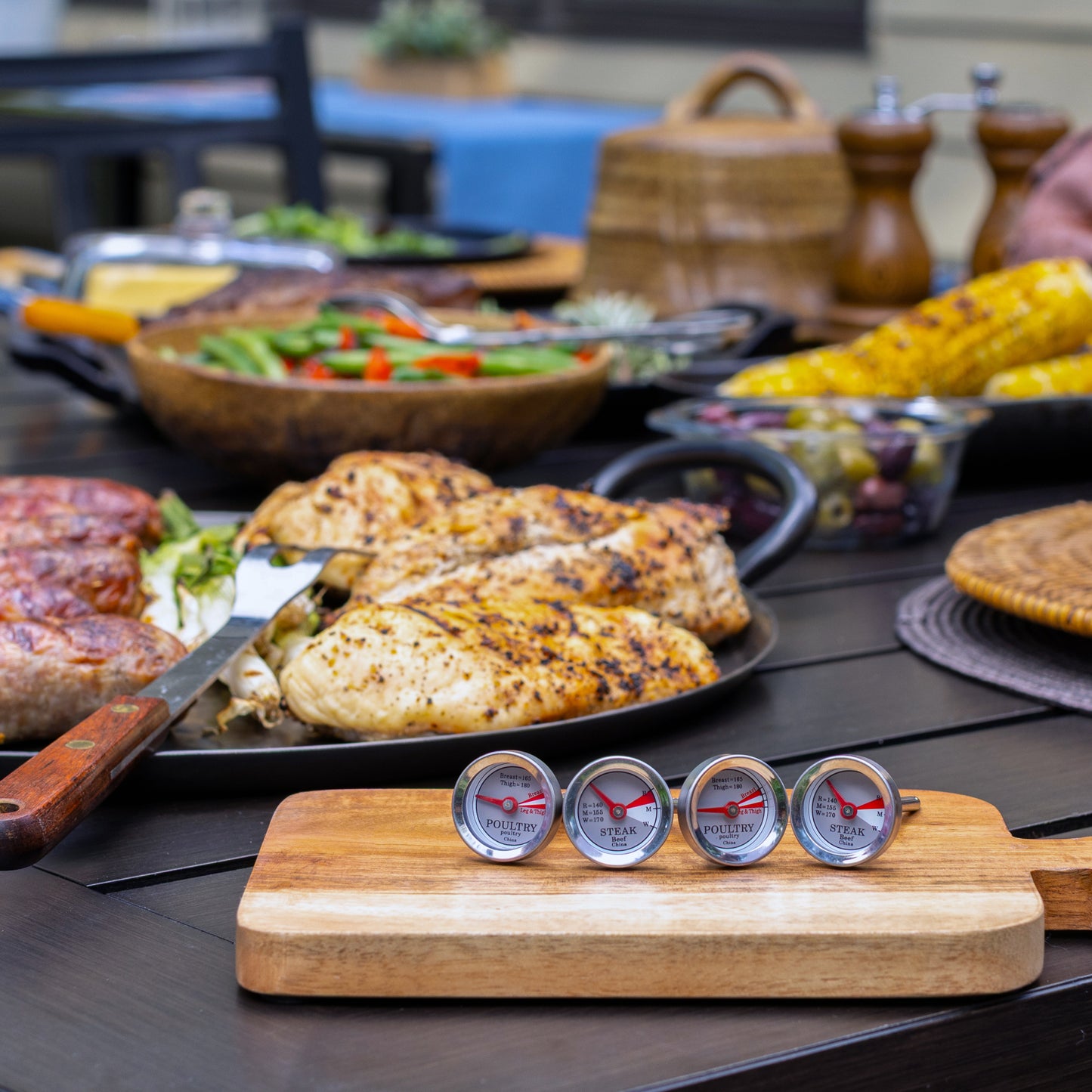 Mini Steak & Chicken Thermometer Set, 4 Piece