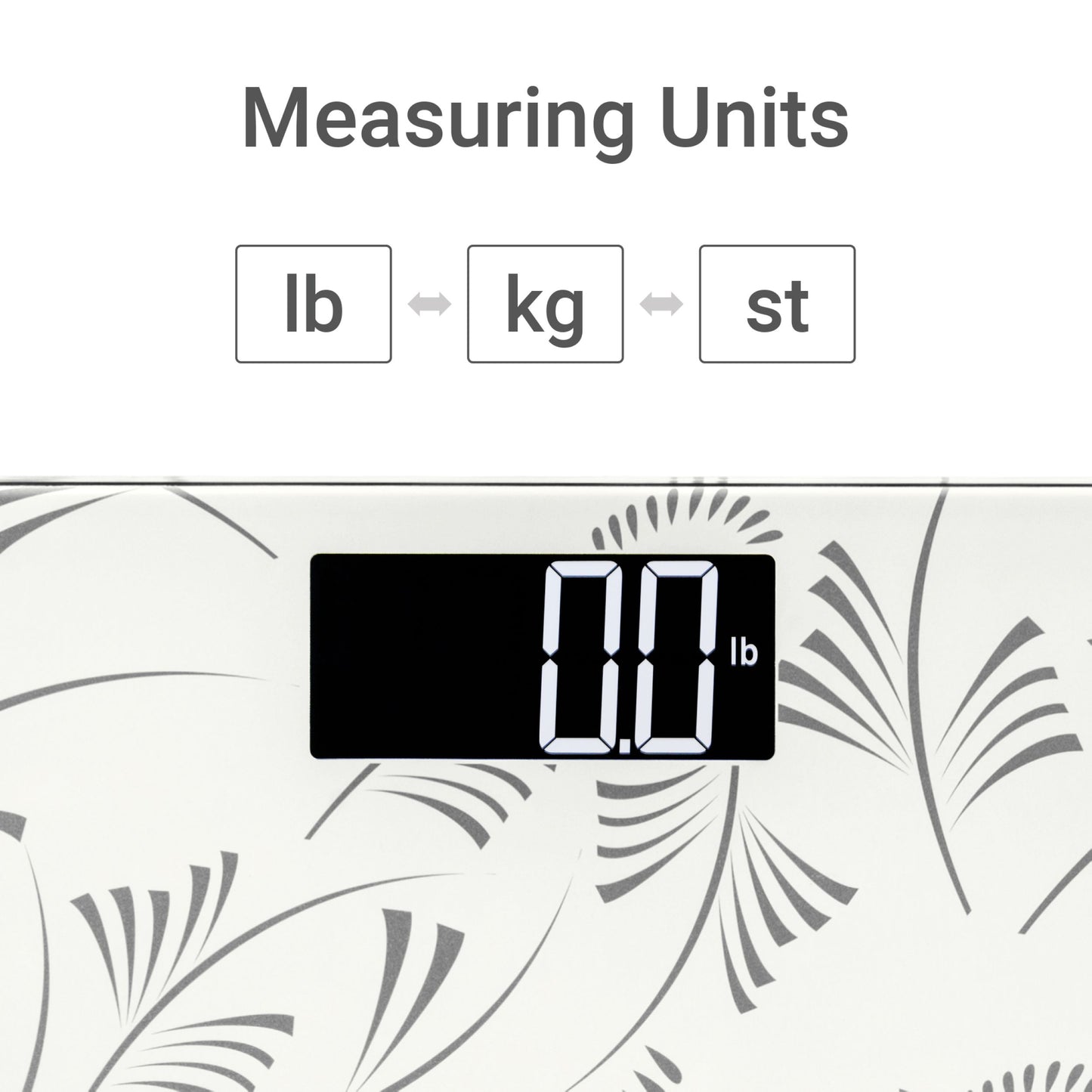 Compact Body Scale