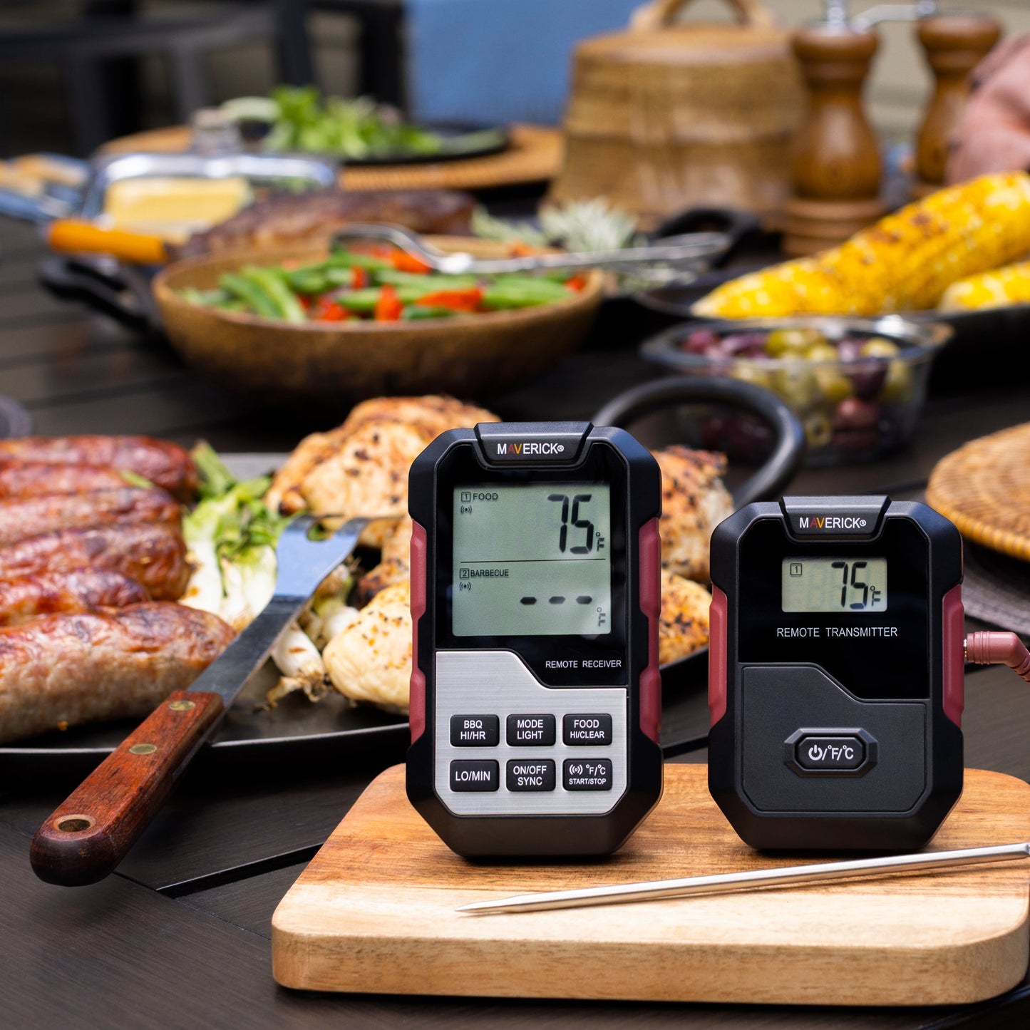 Extended Range Professional Wireless Thermometer and Timer, Dual Probe