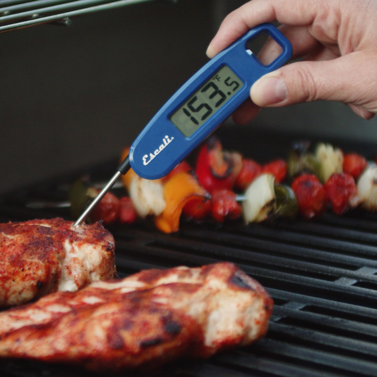 Compact Folding Digital Thermometer