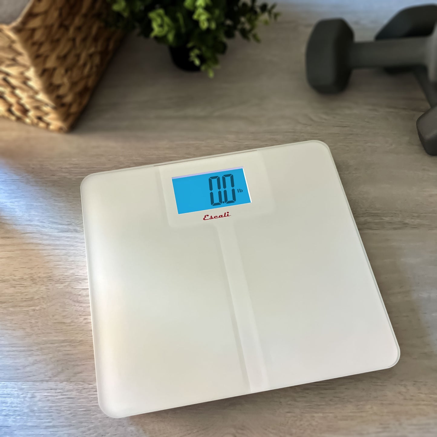 High Capacity Anti-Slip Bathroom Scale